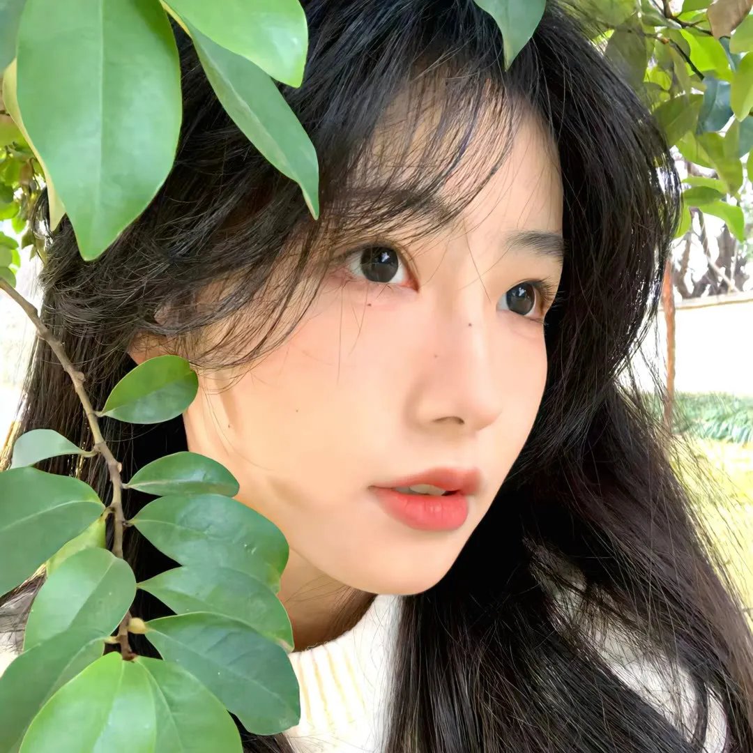 全金属狂潮第一季